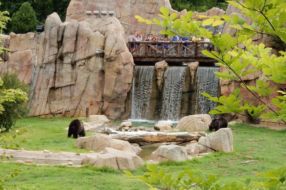 Memphis Zoo, Tennessee, USA